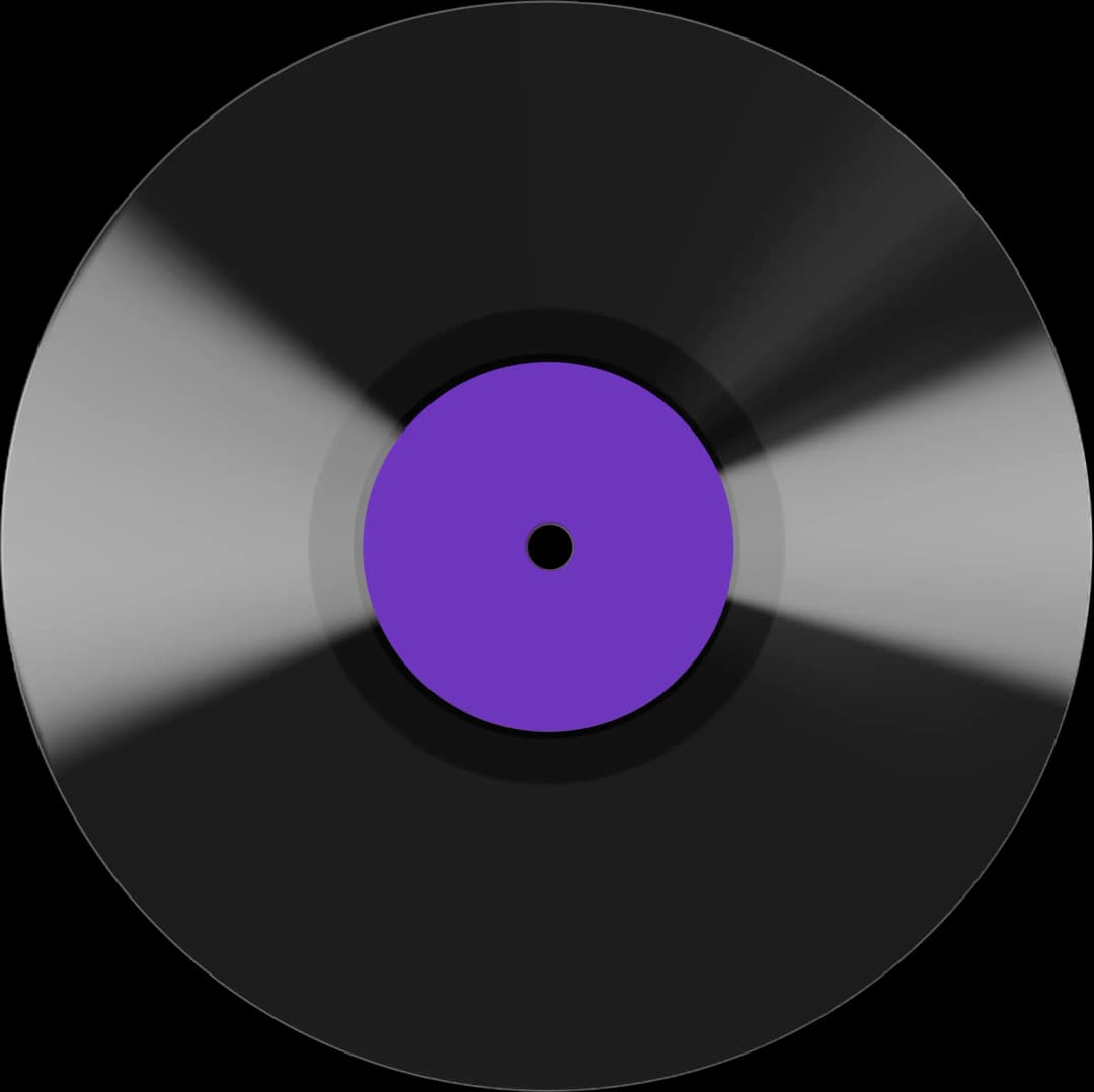 Vinyl Disk
